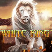 Bạch Sư Vương cover image